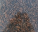 Балтийский розово-коричневый полированный 600х300х30мм